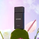 SAFF & Co. Extrait de Parfum OSTARA