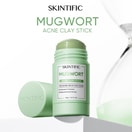 SKINTIFIC Mugwort Clay Mask Stick