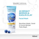 Wardah Perfect Bright Oil Control Creamy Foam 100 ml