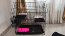 Kandang Kucing