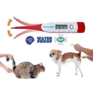 Termometer Hewan