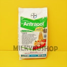 Fungisida Antracol 70 WP