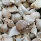 Bawang Putih Kating Bersih
