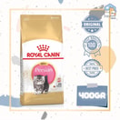 Royal Canin Kitten Persian