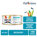 Happy Cat Vet Recovery