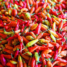 Cabai Rawit Merah 500 gr