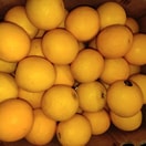 Jeruk Peras Sunkist Valencia