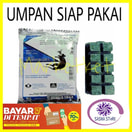 Tikus Mati Kering