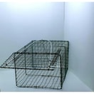 Perangkap Tikus