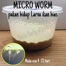Micro Worm
