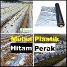Mulsa Hitam Perak