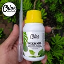 Neem Oil Organik