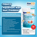 Bakteri Starter FishCo