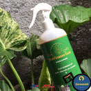 Pupuk Cair Probiotik