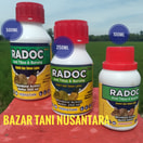 Radoc Pengusir Hama Tikus