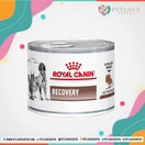 Royal Canin Recovery