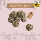 Bola Rumput Mainan Marmut