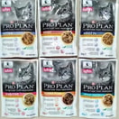 Pro Plan Wet Food