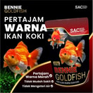 Bennie Gold Fish