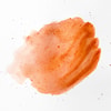 Blush On Warna Apricot