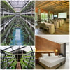 GreenHost Boutique Hotel Yogyakarta