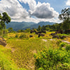 Bukit Alebo