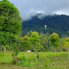 Bukit Buntu Burake