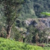 Bukit Kasih