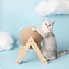 Bola Cakar Kucing