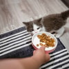 Mengatur Kuantitas Pemberian Makanan 