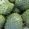 Persiapkan Alat dan Bahan