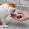 Beri Makan dalam Porsi Kecil