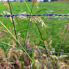 Pemasangan Jaring 