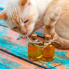Oleskan Minyak ke Badan Kucing