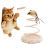 Tikus Per Kucing