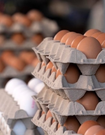 Berikut Penjelasan 4 Ciri-Ciri Telur Ayam Broiler, Berbeda dengan Jenis Ayam Kampung, Lho!