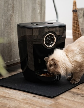 Cari Tempat Makan Kucing Otomatis? 10 Dispenser Makanan Kucing Otomatis Ini yang Terbaik!