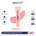 TAVI Color Play Face Tint Blush & Highlighter