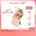 Wardah Colorfit Highlight Contour Palette
