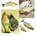 Catnip Boneka Kucing