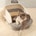Focat Litter Box