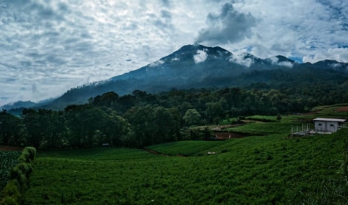 Muncak di Sini Gak Butuh Waktu Lama, Lewat Mojokerto Bisa!