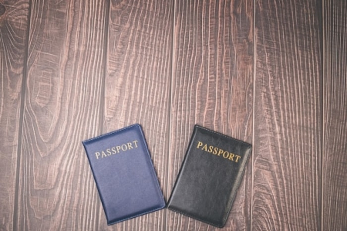 Terdapat 3 Jenis Paspor dan 4 Jenis Visa