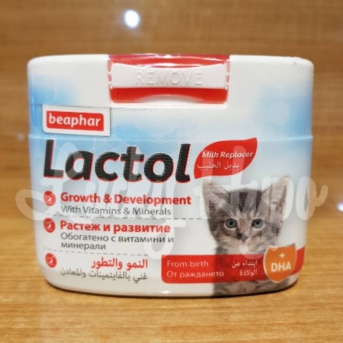 Bisa untuk Kucing Hamil, Menyusui, atau Sakit