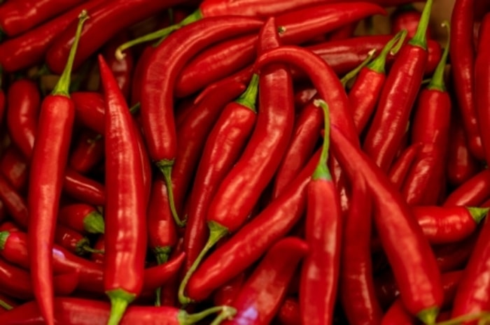 Jenis VIrus yang Menyerang Tumbuhan Cabe