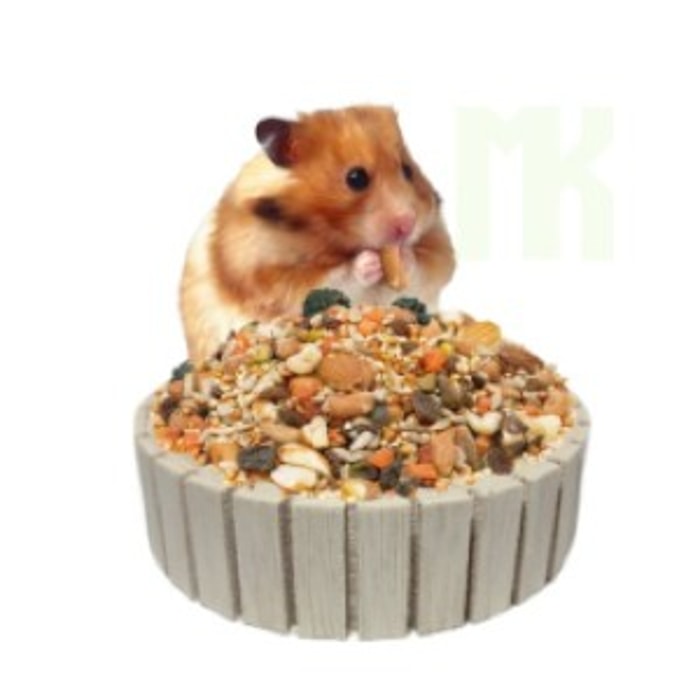 Tempat Makan yang Pendek Tentu Memudahkan Hamster