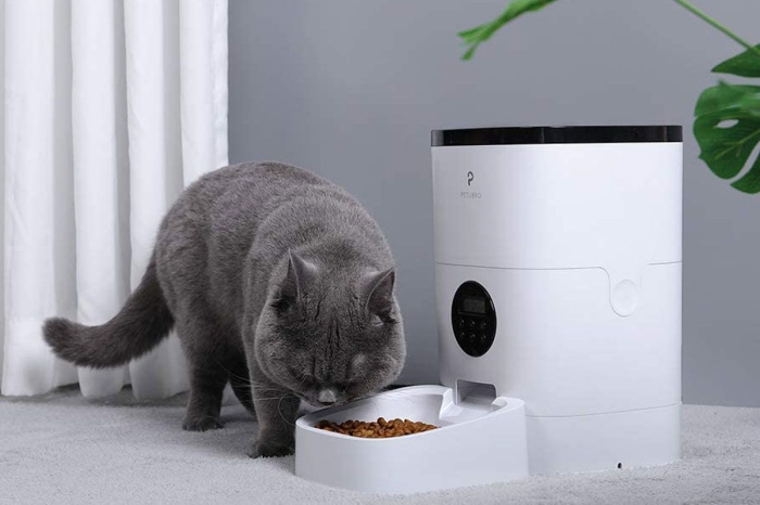 Tempat Makan Kucing Otomatis. Apa Saja Kelebihannya?