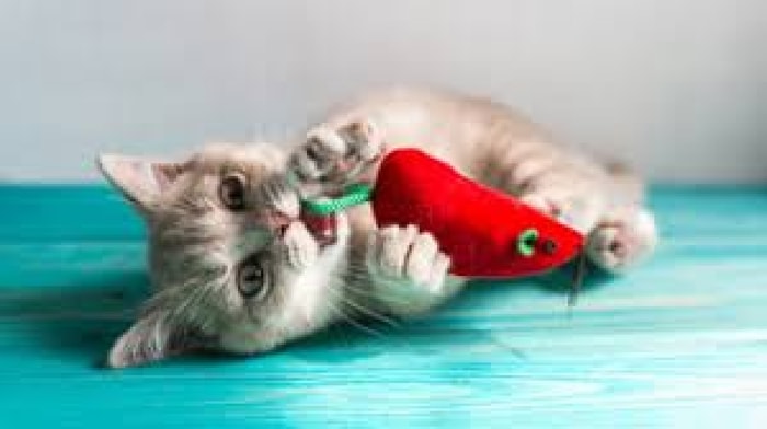 Fungsi Mainan Tikus untuk Kecerdasan Kucing